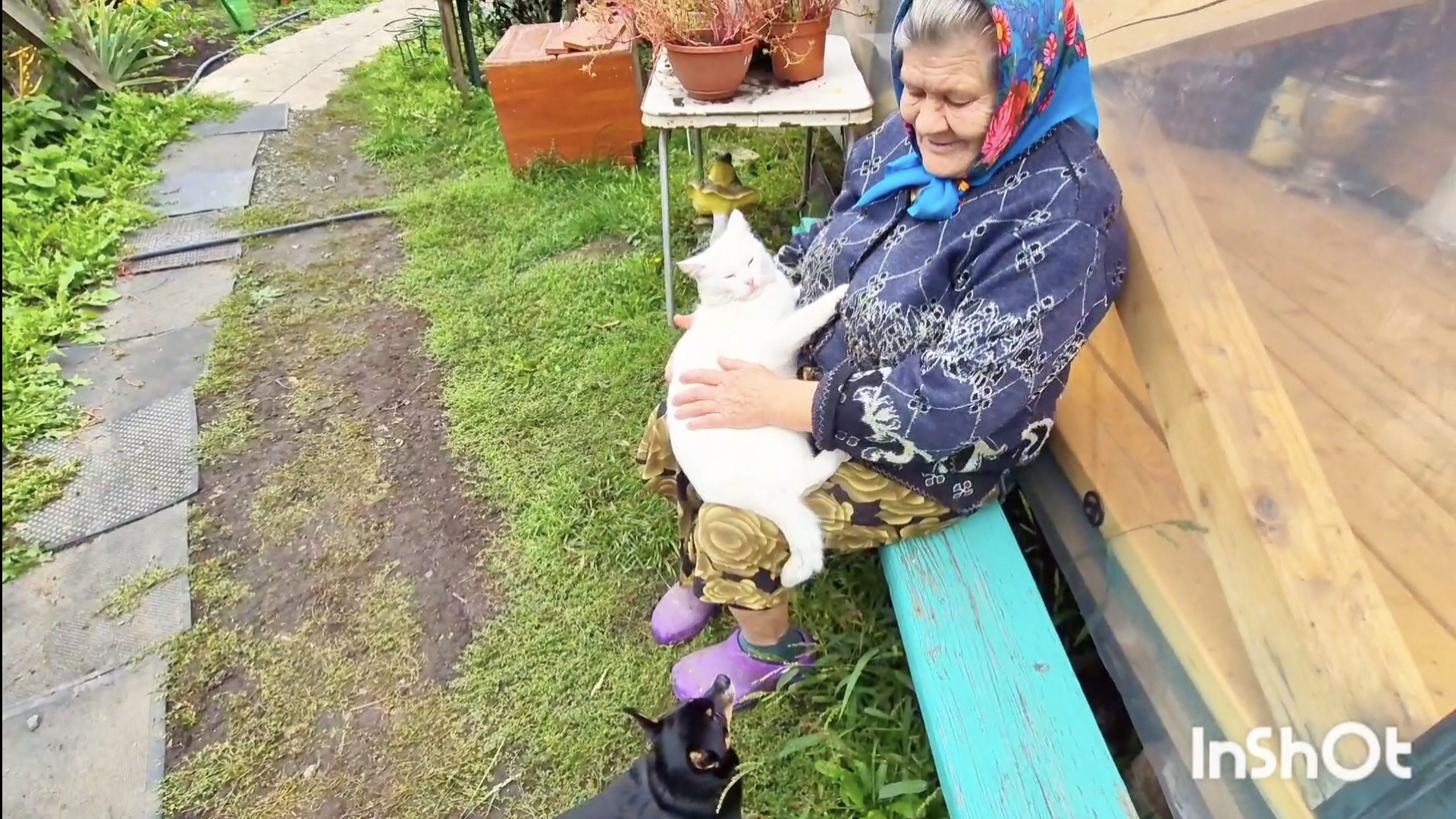 ВЫПИСАЛАСЬ С БОЛЬНИЦЫ И ПОБЕЖАЛА СМОТРЕТЬ ХОЗЯЙСТВО,И СОБИРАТЬ УРОЖАЙ НА ДАЧУ