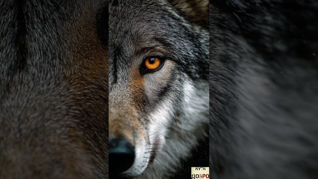 Garik Garik # А Мы Всё Ищем Правду По Баракам#💥💣
