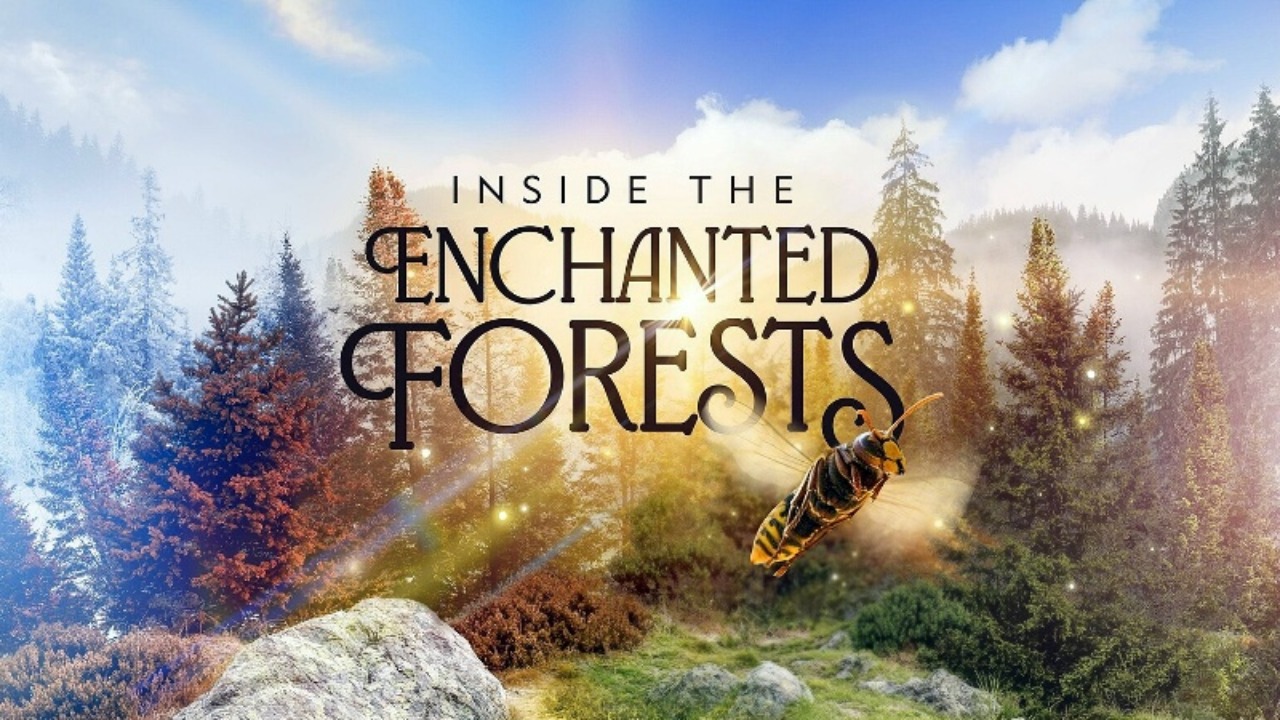 Внутри Заколдованных Лесов - 3 серия (2024) / Inside The Enchanted Forests