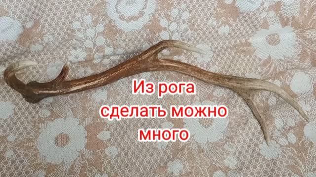 Руны