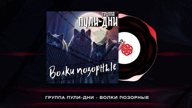 Группа Пули-Дни - Волки позорные