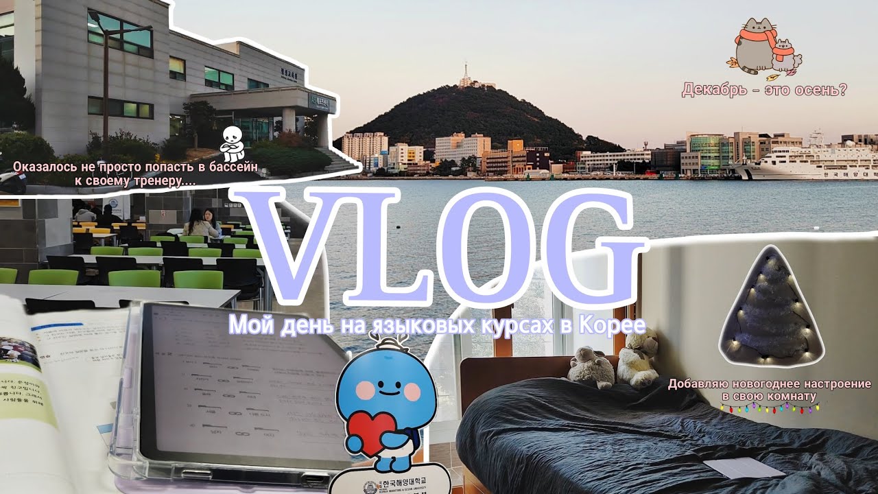 DAILY VLOG / Обычный  день в Корее / Языковые курсы / Рутина / Учеба