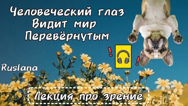Лекция про зрение. Человеческий глаз видит мир перевёрнутым.