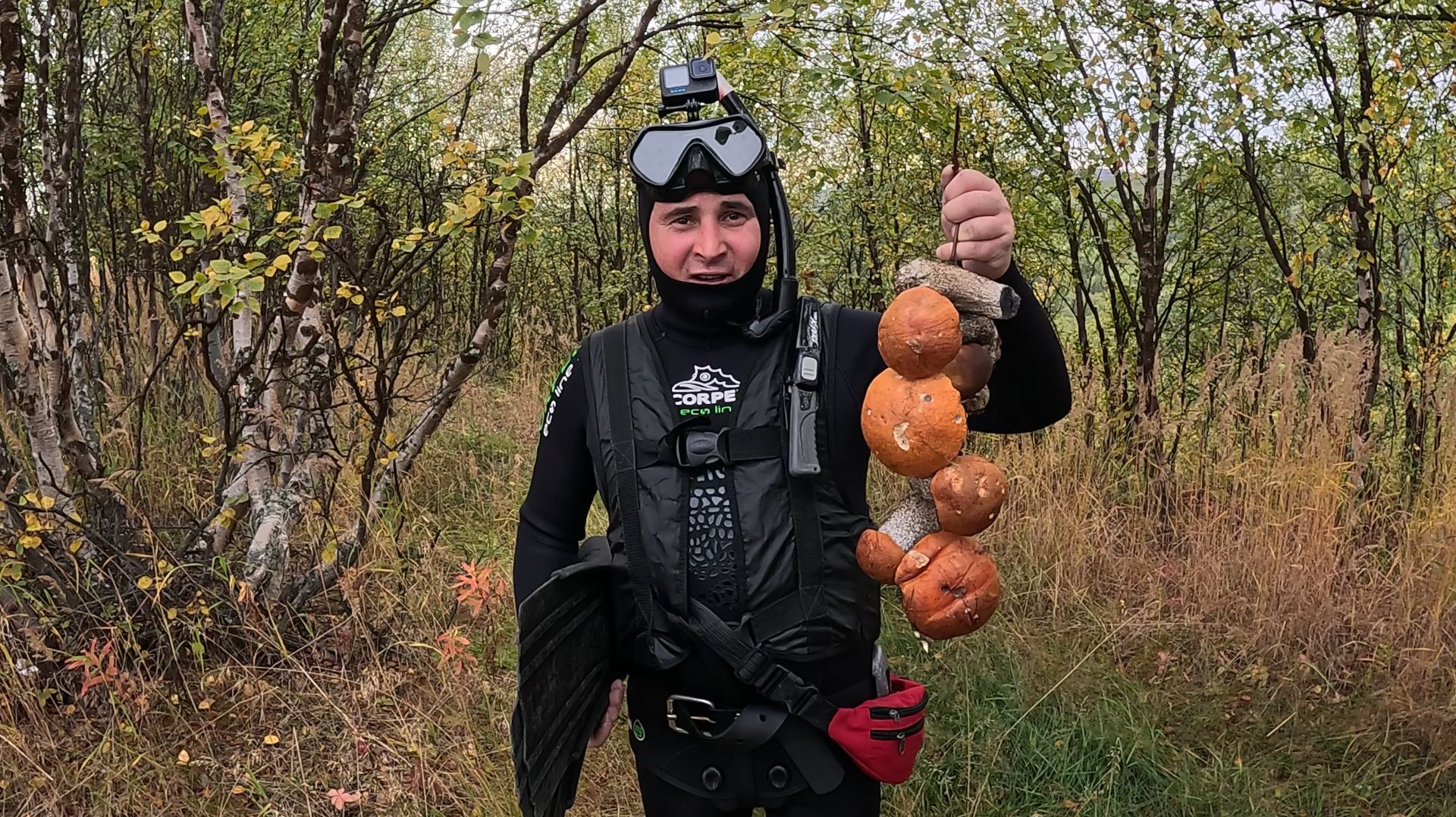 ПО ГРИБЫ И БЛЕСНА НА КОЛЬСКОМ