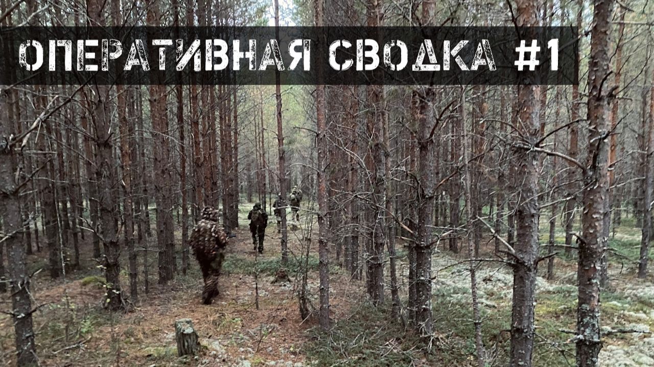Оперативная сводка