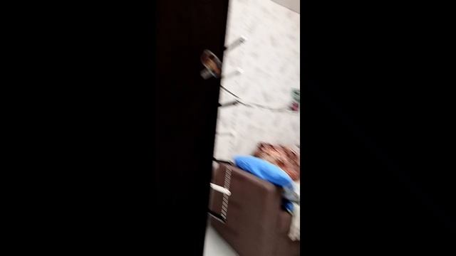 Первое видео