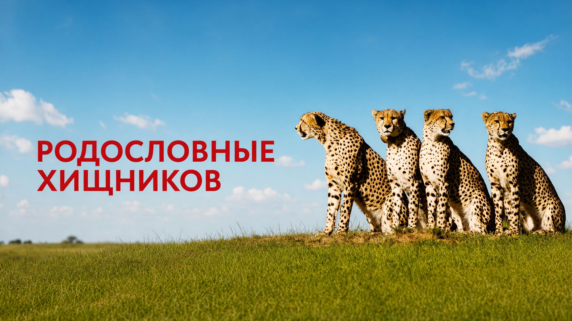 Родословные хищников - 1 серия (2020) / Predator Bloodlines