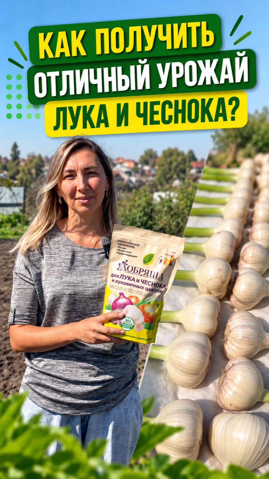 Как получить отличный урожай лука и чеснока?