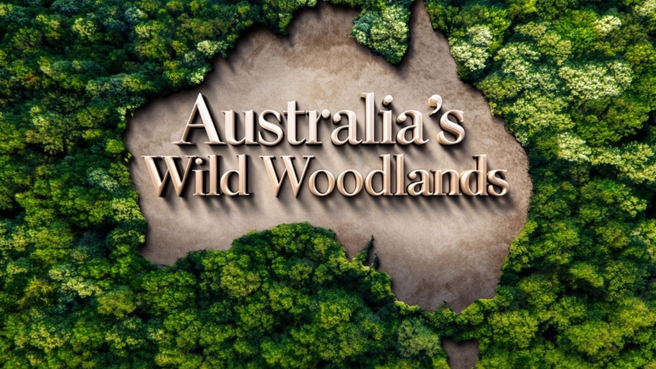 Дикие леса Австралии (2025) / Australia's Wild Woodlands