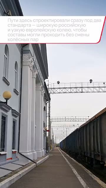 Станция Мамоново