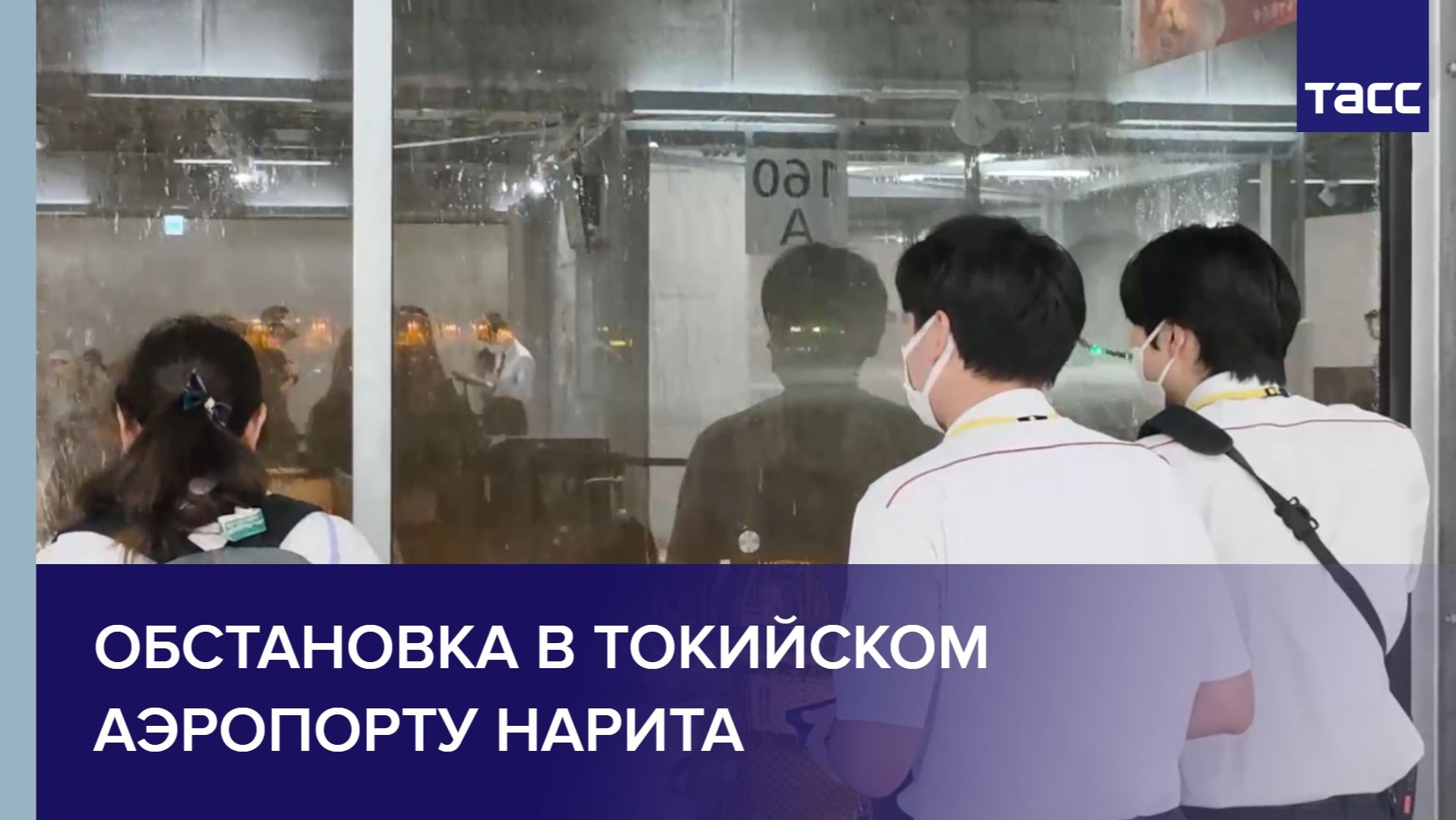 Природа и экология ТАСС