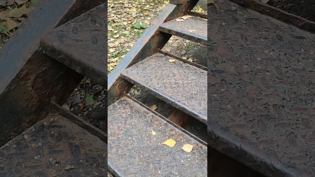 1001628234.mp4