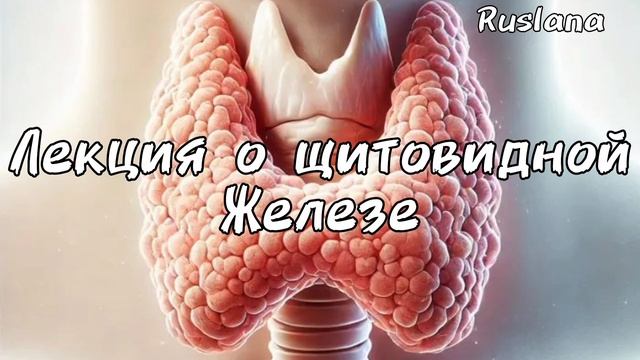 Щитовидная железа. Лекция о том, что любит щитовитка.
