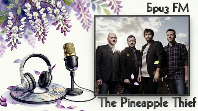 ♬The Pineapple Thief - Magnolia