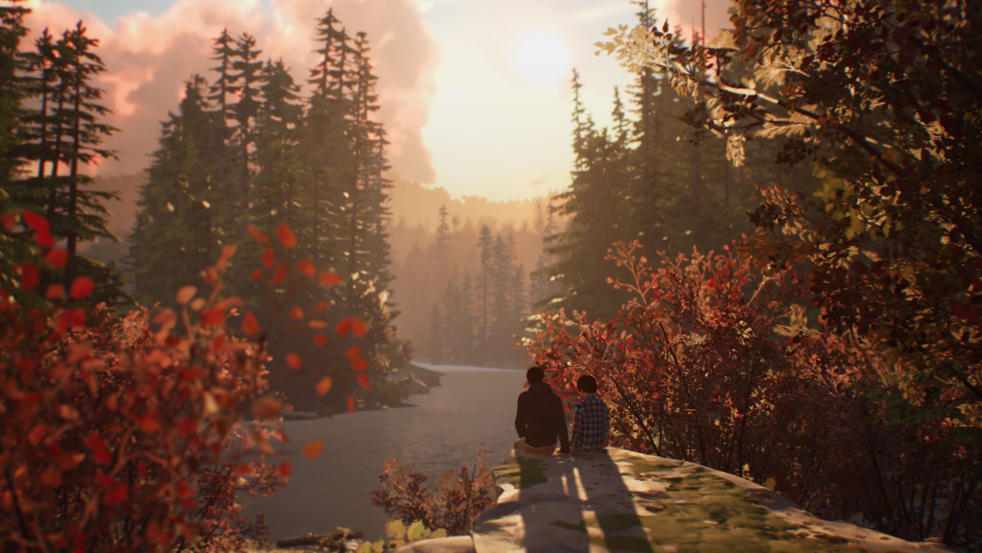 2 ☂️ Уютных дождливых выходных! Открываем новую осеннюю главу Life Is Strange 2 ☔