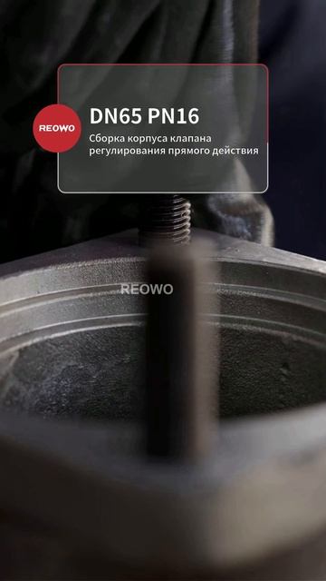 Узел корпуса регулятора DN65 PN16 REOWO #Саморегулятор #REOWO