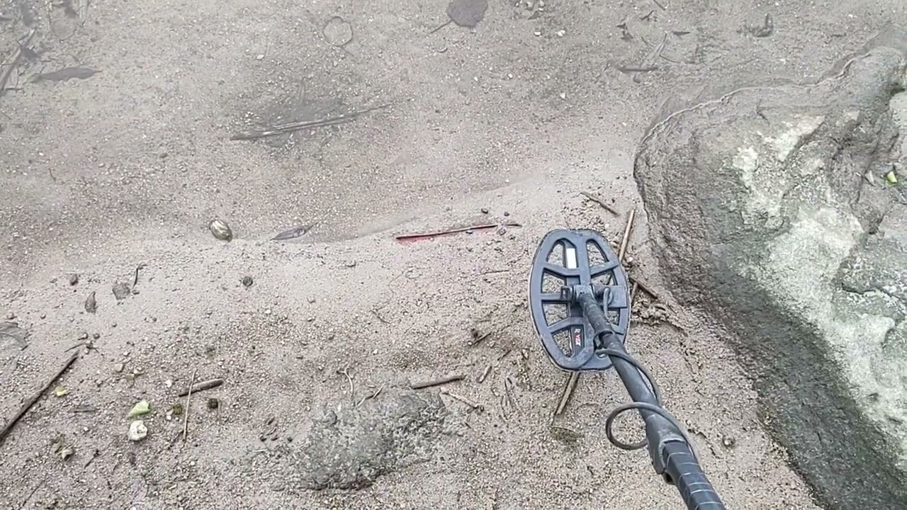 Minelab X-terra Pro Coil V8x Vs Gold 🐬 0.21 Gr. На ребре 🫡тест на всех програмах и частотах🫡