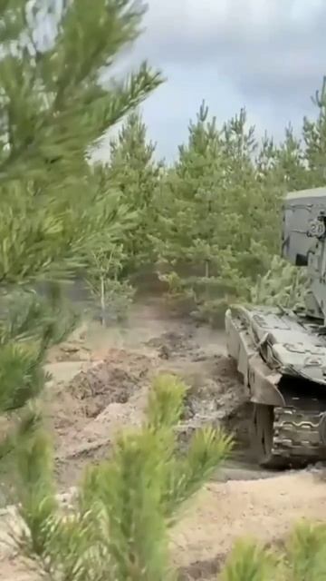 Герои V (3)