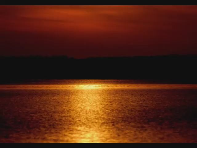 Enigmatic Obsession  -  Polar Lights