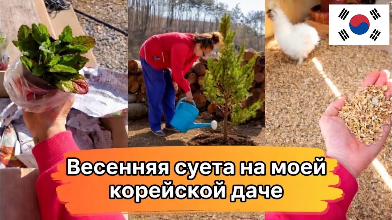 Весна не в радость? Или куда я пропала ^^ KOREA VLOG