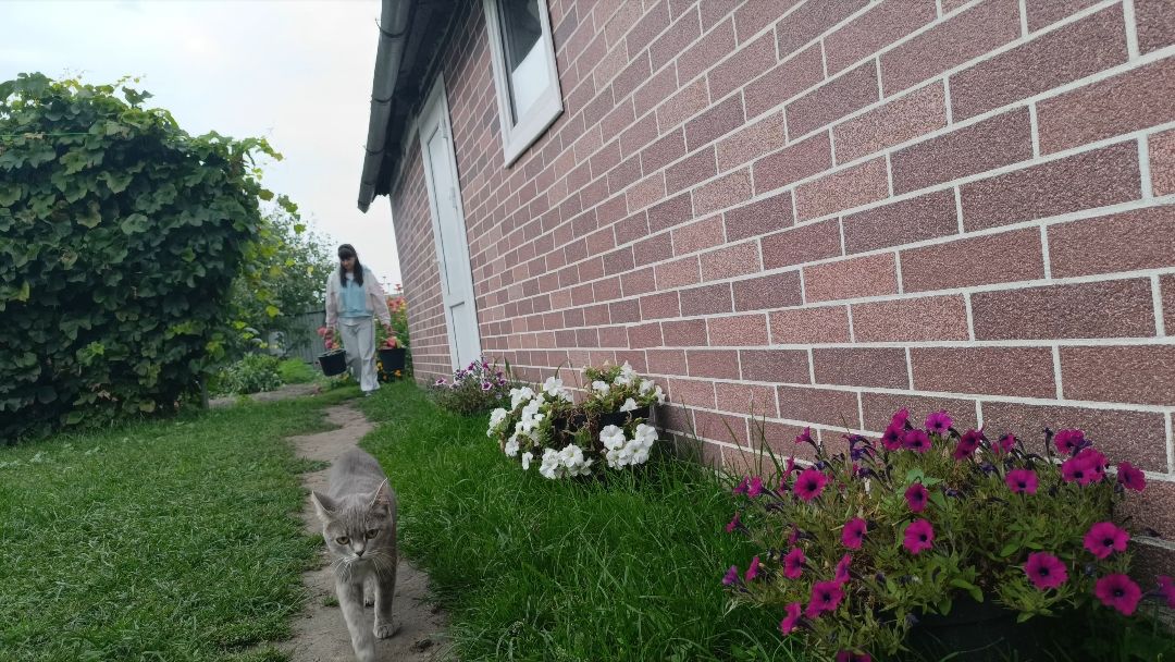 ЖИЗНЬ В РОССИИ/ГОСТИ ИЗ 🇰🇿/ТРУД НЕЛЕГКИЙ В ДЕРЕВНЕ/БОЮСЬ ПРОПАДЕТ/