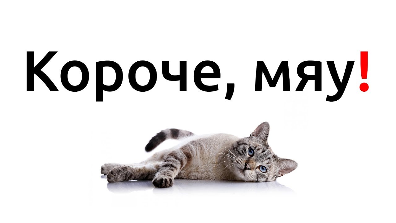 Короче, научные факты о кошках