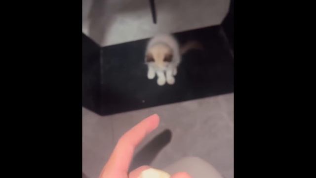 смешные странные и забавные мемы 4