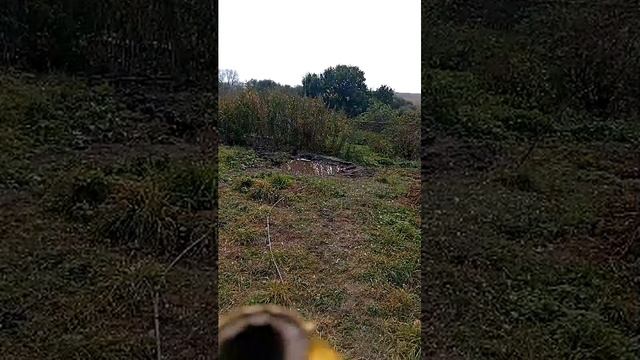 новости 22.09.2026