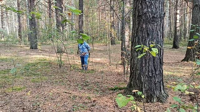 В ЛЕС ПОЕХАЛИ НЕ ЗРЯ👏ЕЩЁ НАБРАЛИ ОПЯТ.