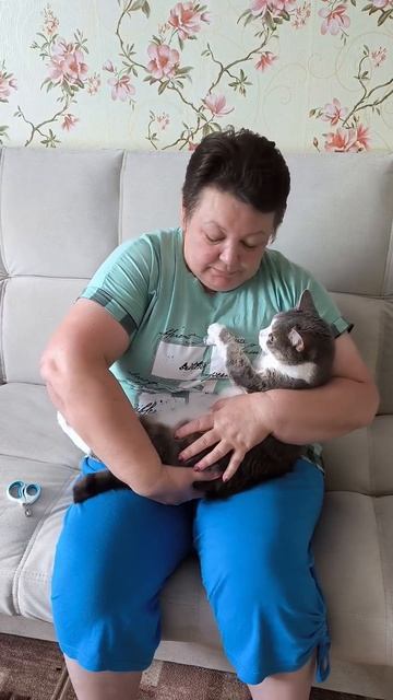 Мои животные
