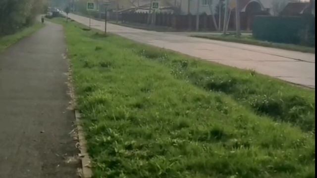 Публикации
