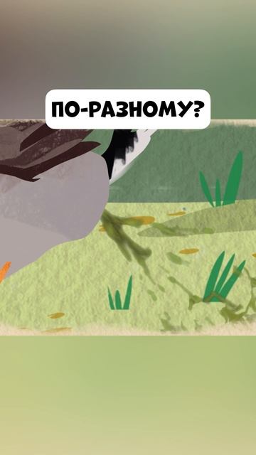 Ты знаешь, что все какают по-разному