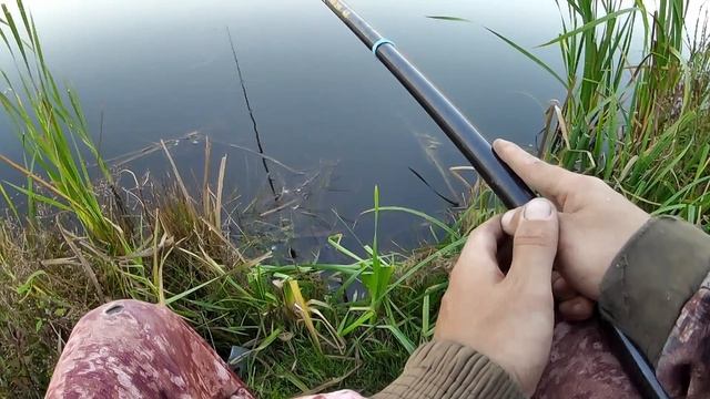 Сегодня после работы порыбачил на Боковой кивок🎣 Насадка хлеб. Прикормка Стерля (Чеснок).