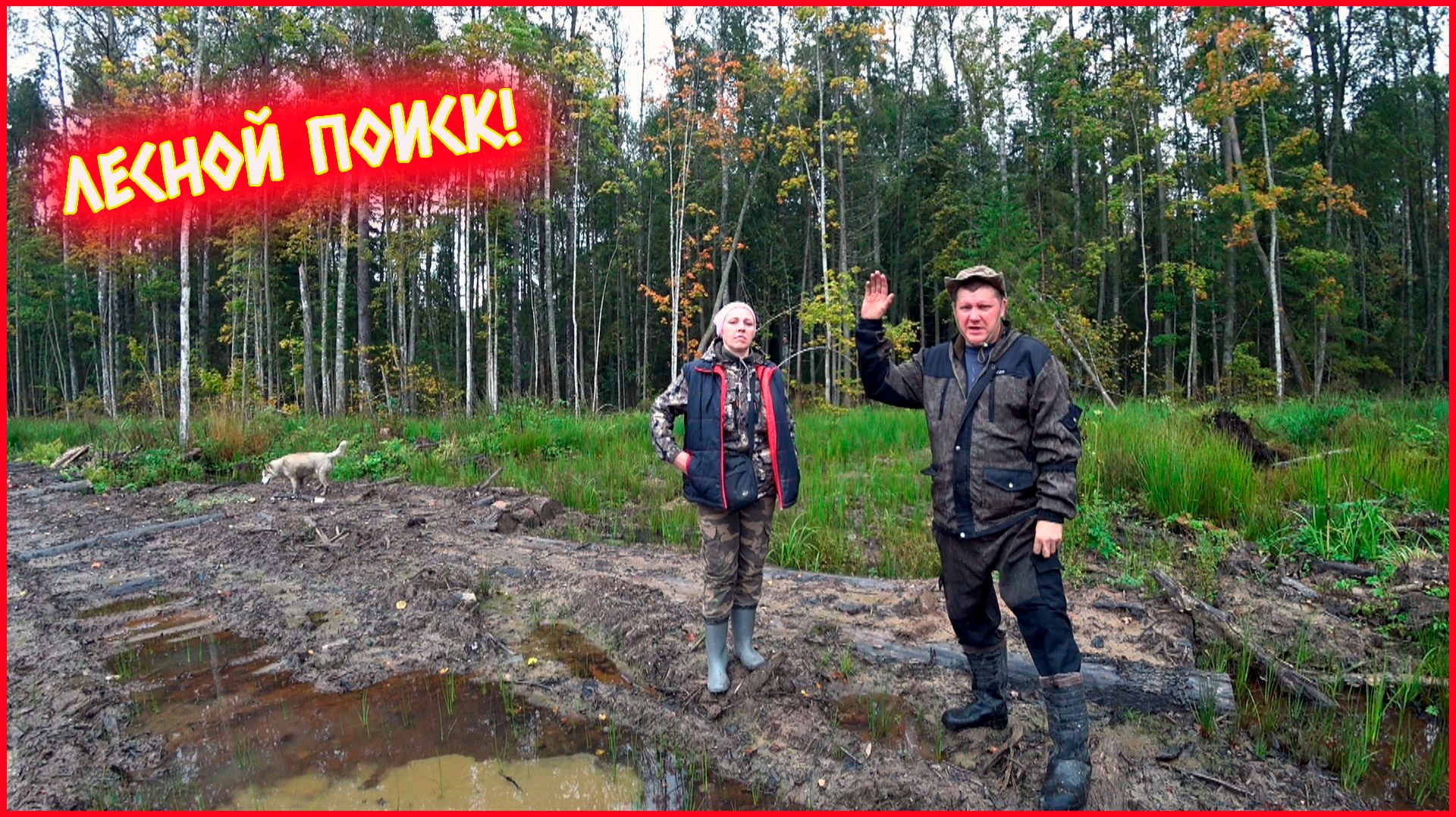 НАКОНЕЦ-ТО ВЫБРАЛИСЬ В ЛЕС!!!! ИДЁМ ИСКАТЬ МЕТАЛЛОЛОМ В СТАРЫХ ДЕЛЯНКАХ!!!
