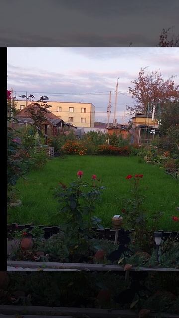 Зелень- мелень.😂👍