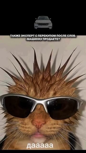 ТИПИЧНЫЙ РАЗГОВОР ПОДБОРЩИКА и ПЕРЕКУПА 😂 #автоподбор #автоюмор #приколы #автоприколы