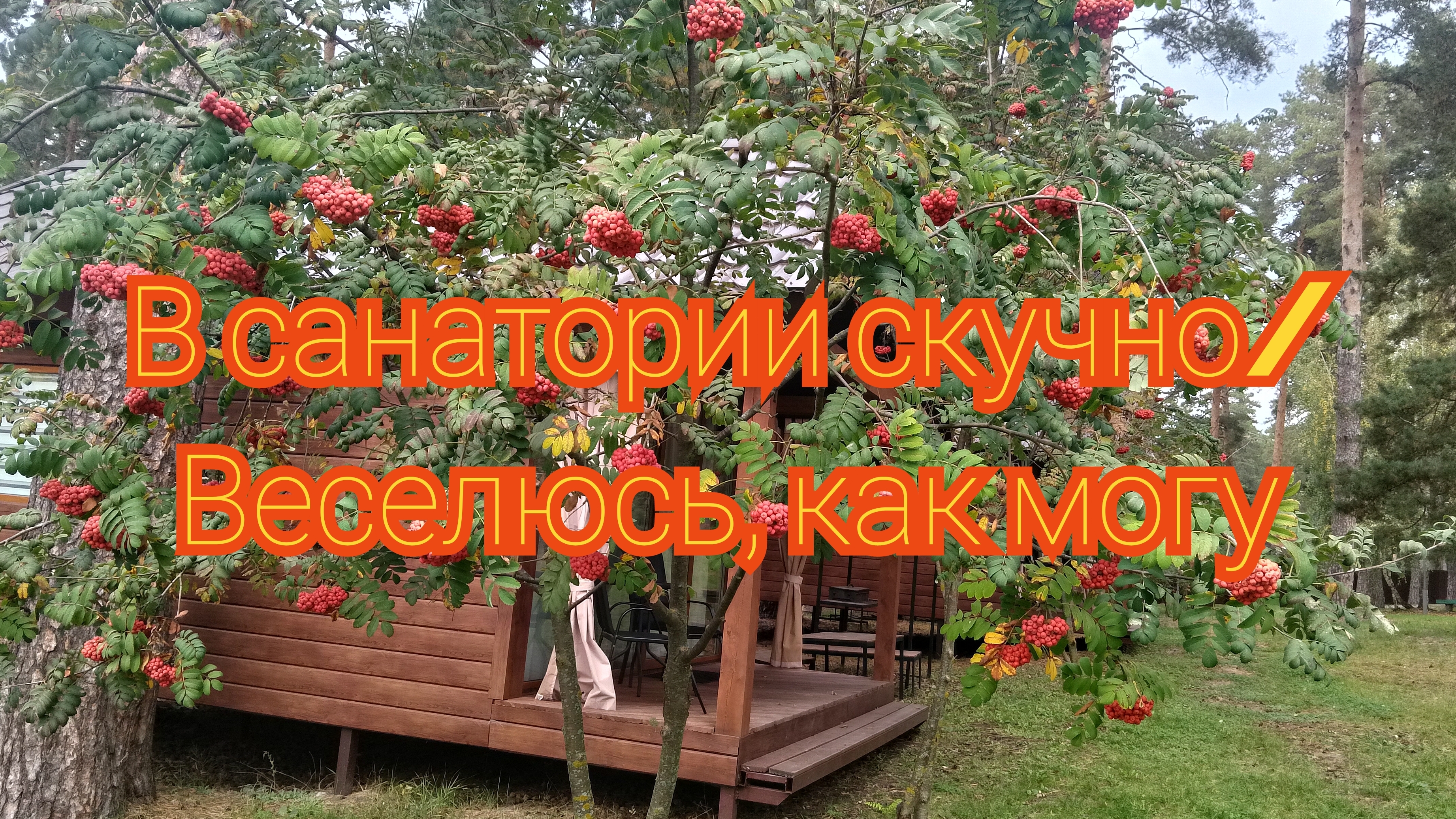 В санатории скучно/ Веселюсь, как могу/