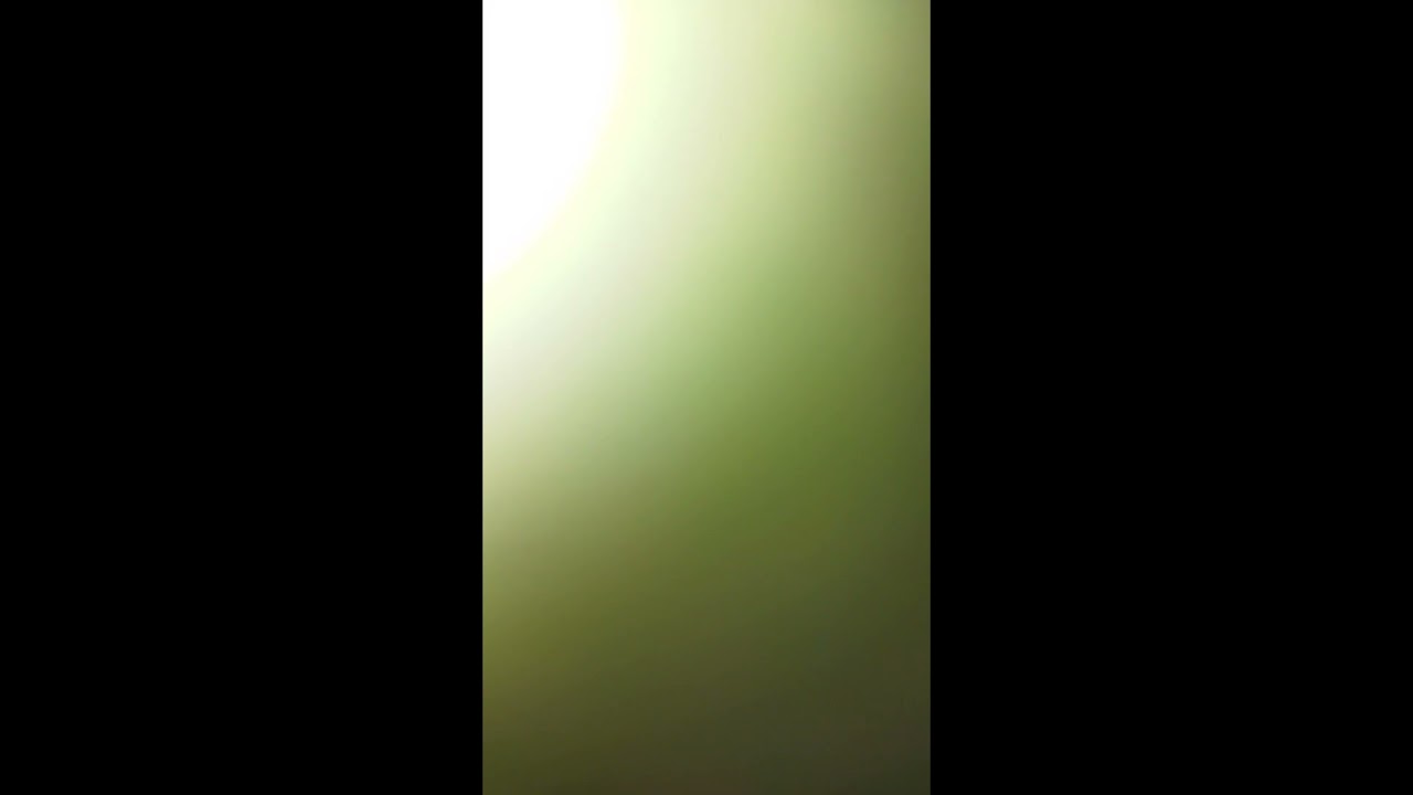 #shorts все смайлики эдгара