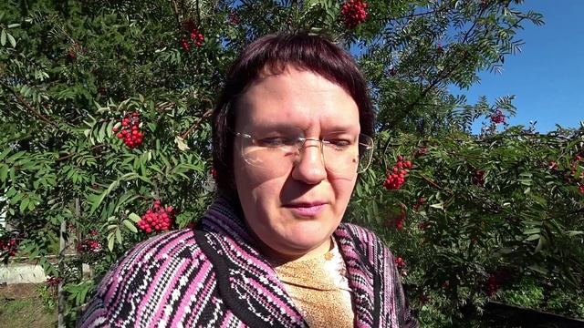Осенью или весной сажать плодовые деревья?