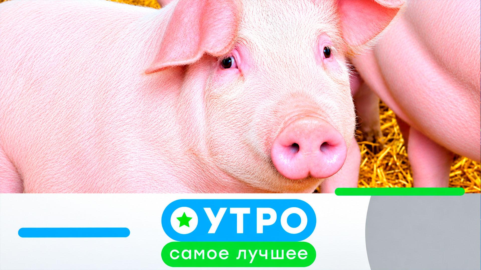 Смотреть Кухня Про Секс Смотреть Кухня Про Секс