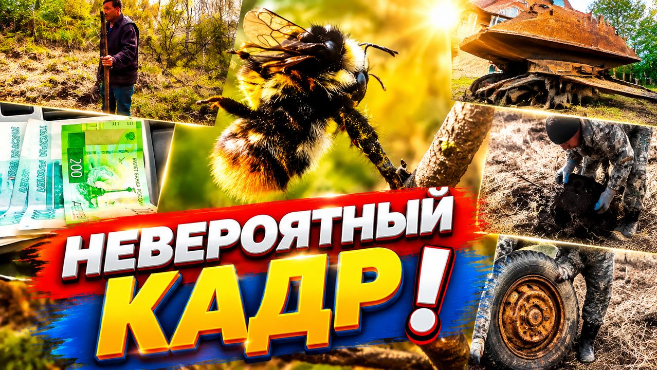 МЕСТОРОЖДЕНИЕ ЖЕЛЕЗА. Из города в деревню 40 СЕРИЯ