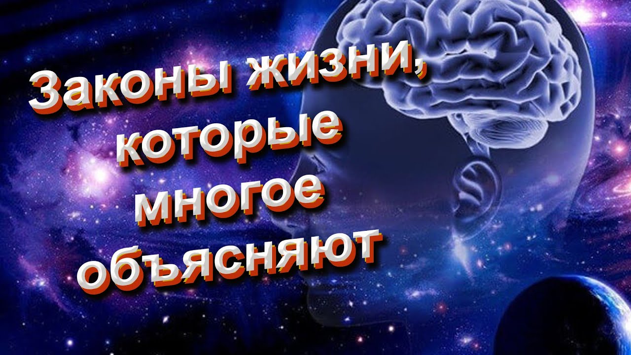 Мудрые мысли. Законы жизни, которые многое объясняют. Законы, влияющие на жизнь.