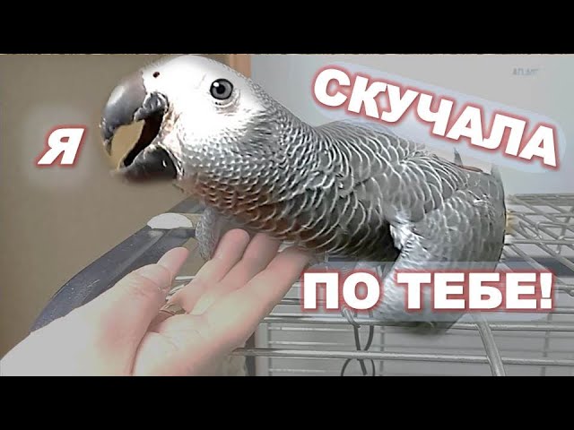 Соскучилась по маме!