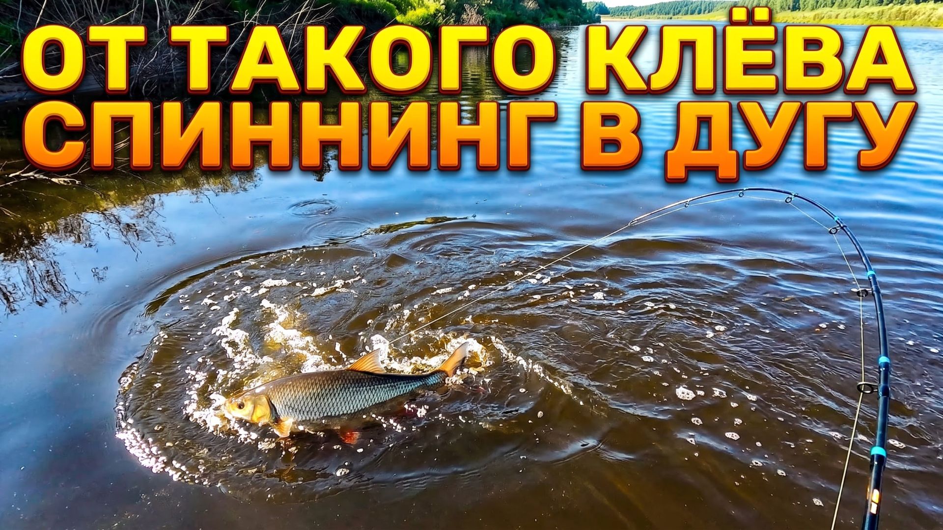 В этой яме рыбу ловить не переловить! Желаю каждому такого клёва.