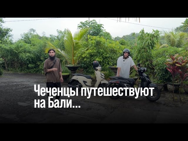 Чеченцы путешествуют на Бали | знакомство