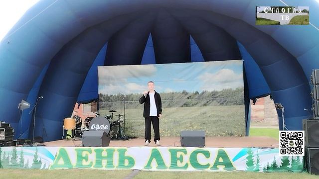 День леса