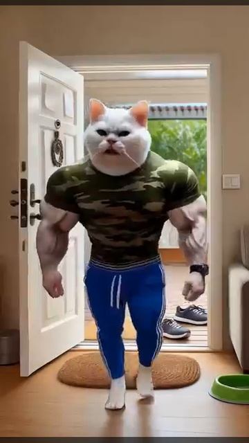 мультики