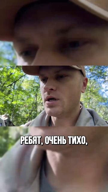 Следы тигра и медведя в диком лесу.
