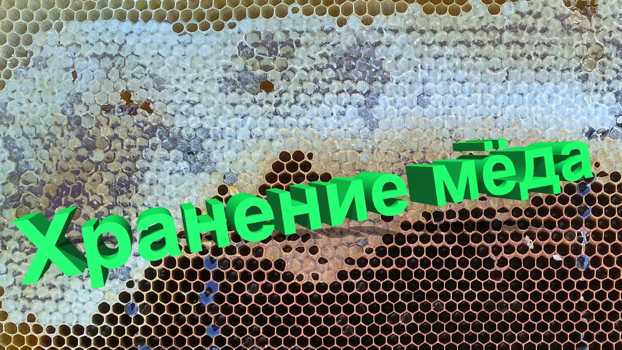 🍯 Хранение мёда: условия, сроки и ошибки. Отвечает профессор Пашаян 🐝📦