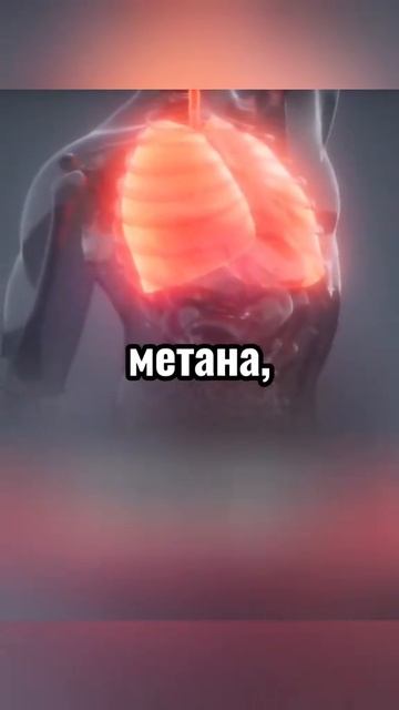 Самое страшное в океане